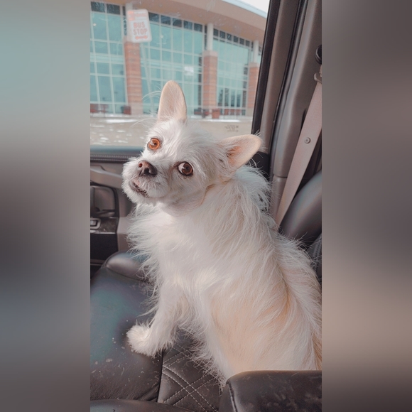 Hello Everyone 🥰💎❤️💖⚘️💍🥂 - Picture 5 of 17